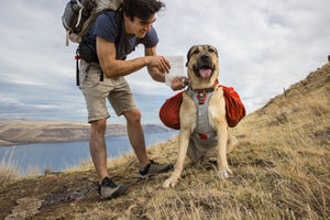 Ruffwear Palisades Pack