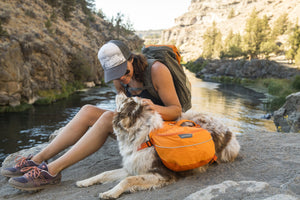 Ruffwear Approach Pack