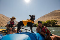 Ruffwear Float Coat