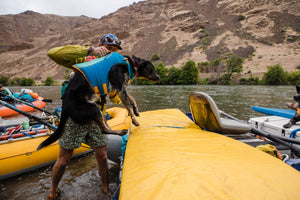 Ruffwear Float Coat