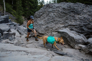 Ruffwear Front Range Day Pack