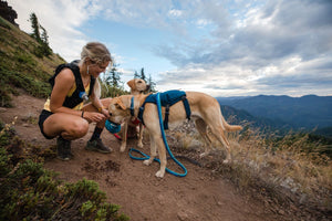 Ruffwear Switchbak Harness