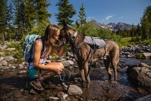 Ruffwear Switchbak Harness