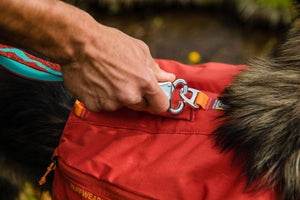 Ruffwear Switchbak Harness