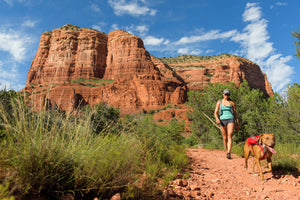 Ruffwear Singletrak Pack - USED GEAR - FINAL SALE*