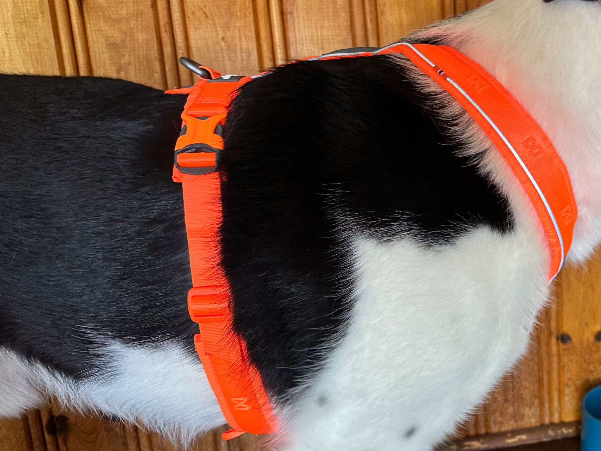 Non-Stop Dogwear Line Harness 5.0 - USED GEAR - FINAL SALE