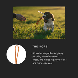 Non-Stop Dogwear Ball on Rope Dog Toy