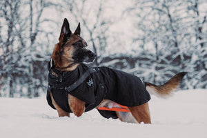 Non-Stop Dogwear Trekking Dog Raincoat