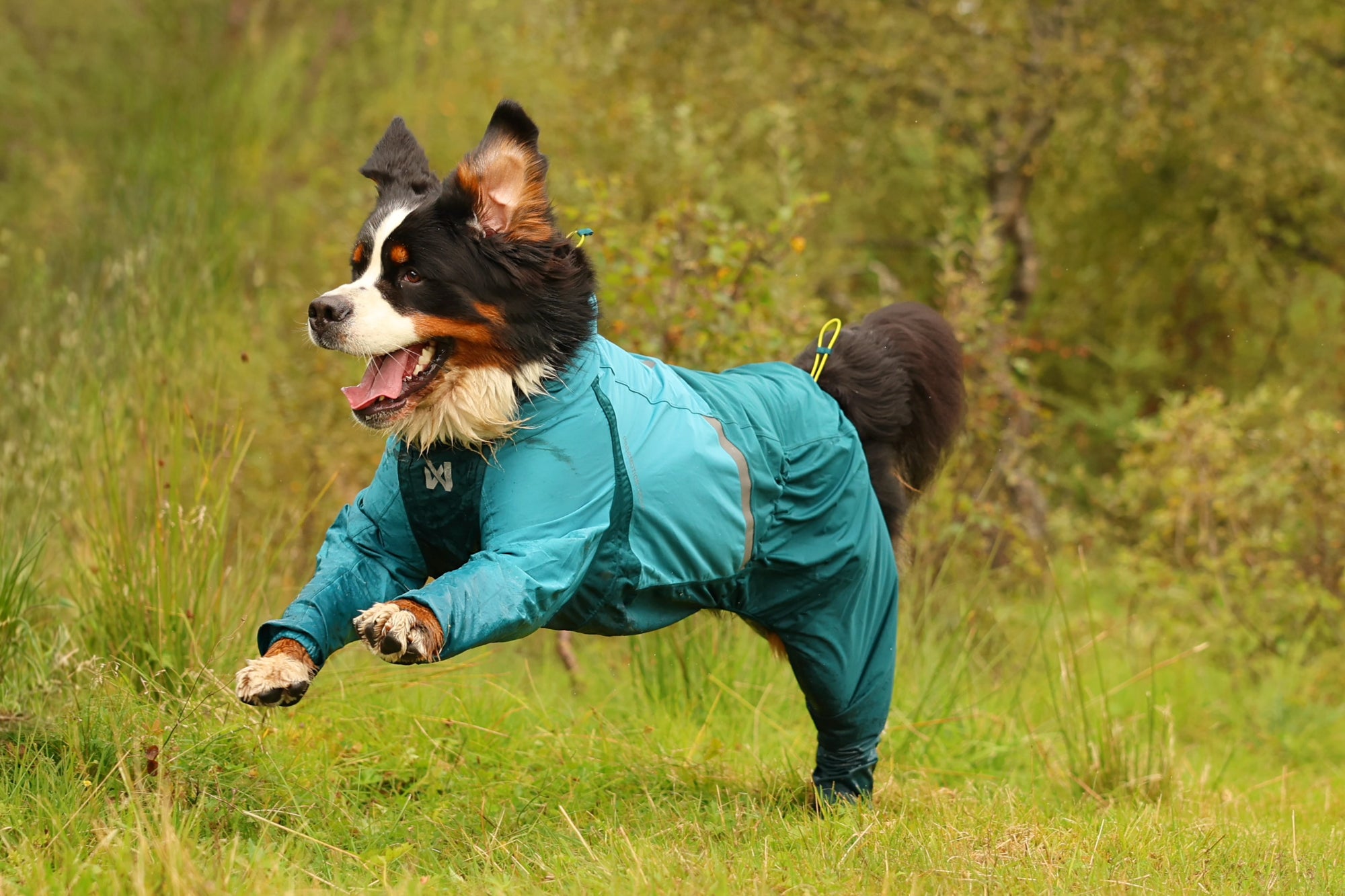plage Traditional Weatherwear別注 38 2way Non-Stop Dogwear Fjord Overall Raincoat | Canada - See SAWYER Run