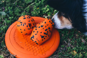 Non-Stop Dogwear Flying Disc Dog Toy