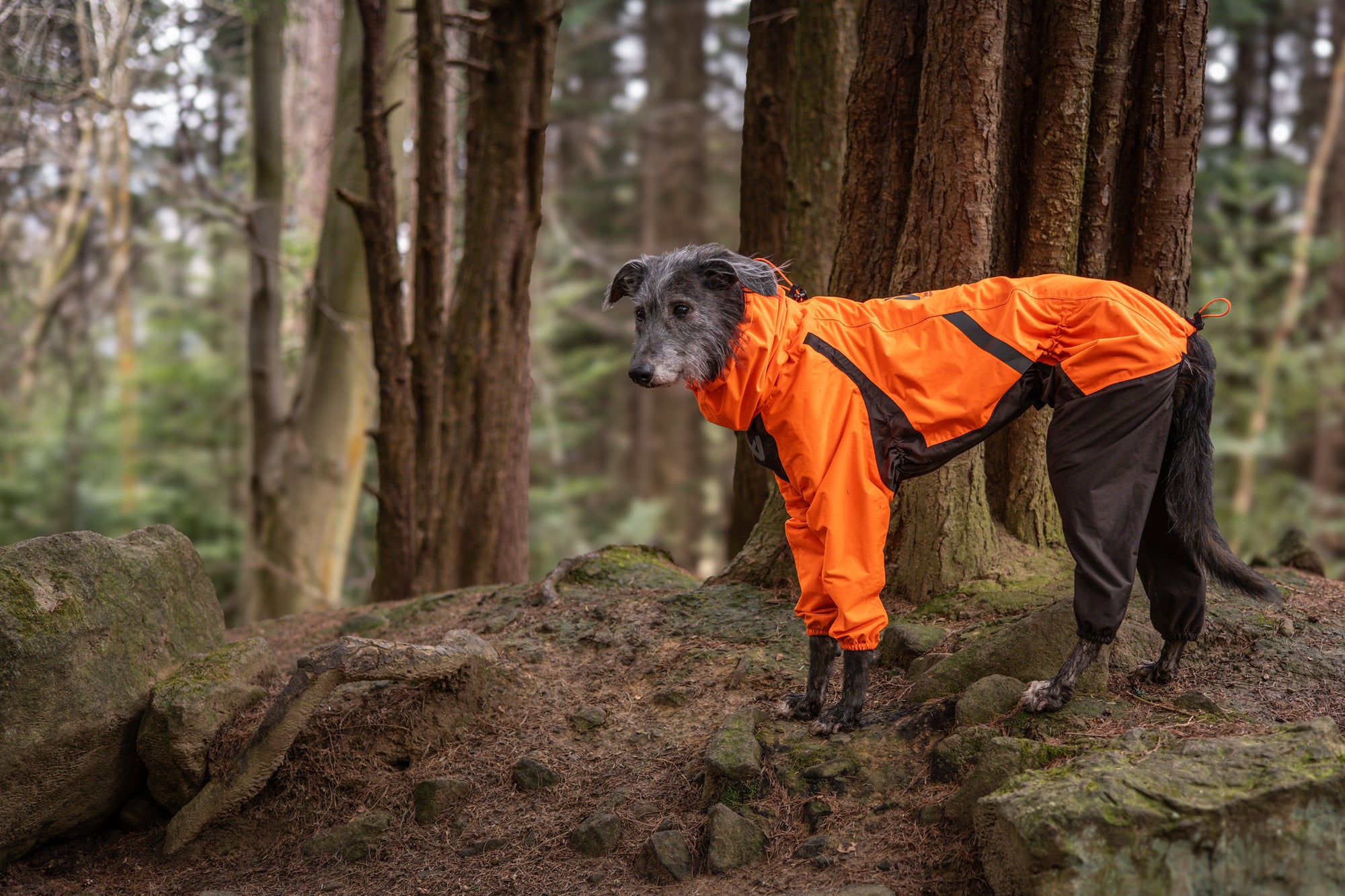 plage Traditional Weatherwear別注 38 2way Non-Stop Dogwear Fjord Overall Raincoat | Canada - See SAWYER Run