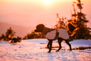 Non-Stop Dogwear Glacier Wool Jacket 3.0