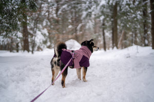Non-Stop Dogwear Glacier Jacket 3.0
