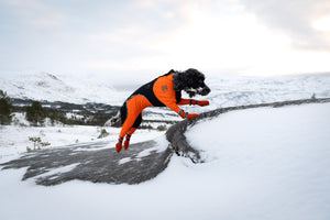 Non-Stop Dogwear Contact Bootie High