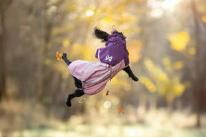 Non-Stop Dogwear Fjord Raincoat 2.0