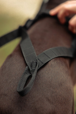 Non-Stop Dogwear Freemotion Harness Pro
