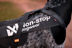 Non-Stop Dogwear Freemotion Harness Pro