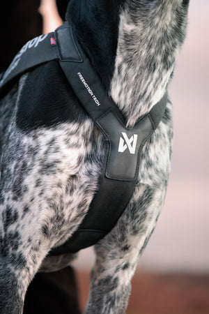 Non-Stop Dogwear Freemotion Harness Pro