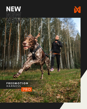 Non-Stop Dogwear Freemotion Harness Pro