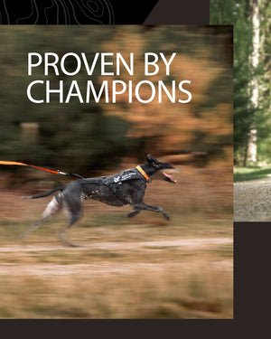 Non-Stop Dogwear Freemotion Harness Pro