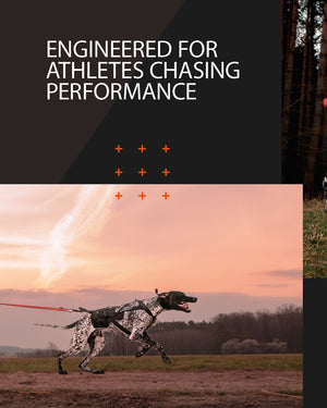 Non-Stop Dogwear Freemotion Harness Pro