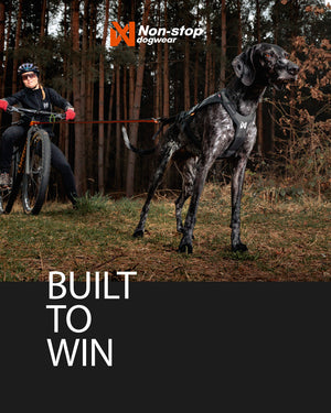 Non-Stop Dogwear Freemotion Harness Pro
