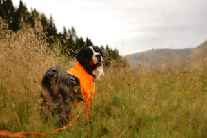 Non-Stop Dogwear Protector Suit Pro