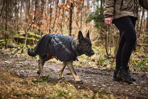 Non-Stop Dogwear Trekking Dog Raincoat