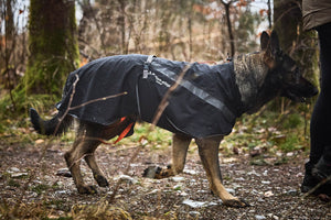 Non-Stop Dogwear Trekking Dog Raincoat