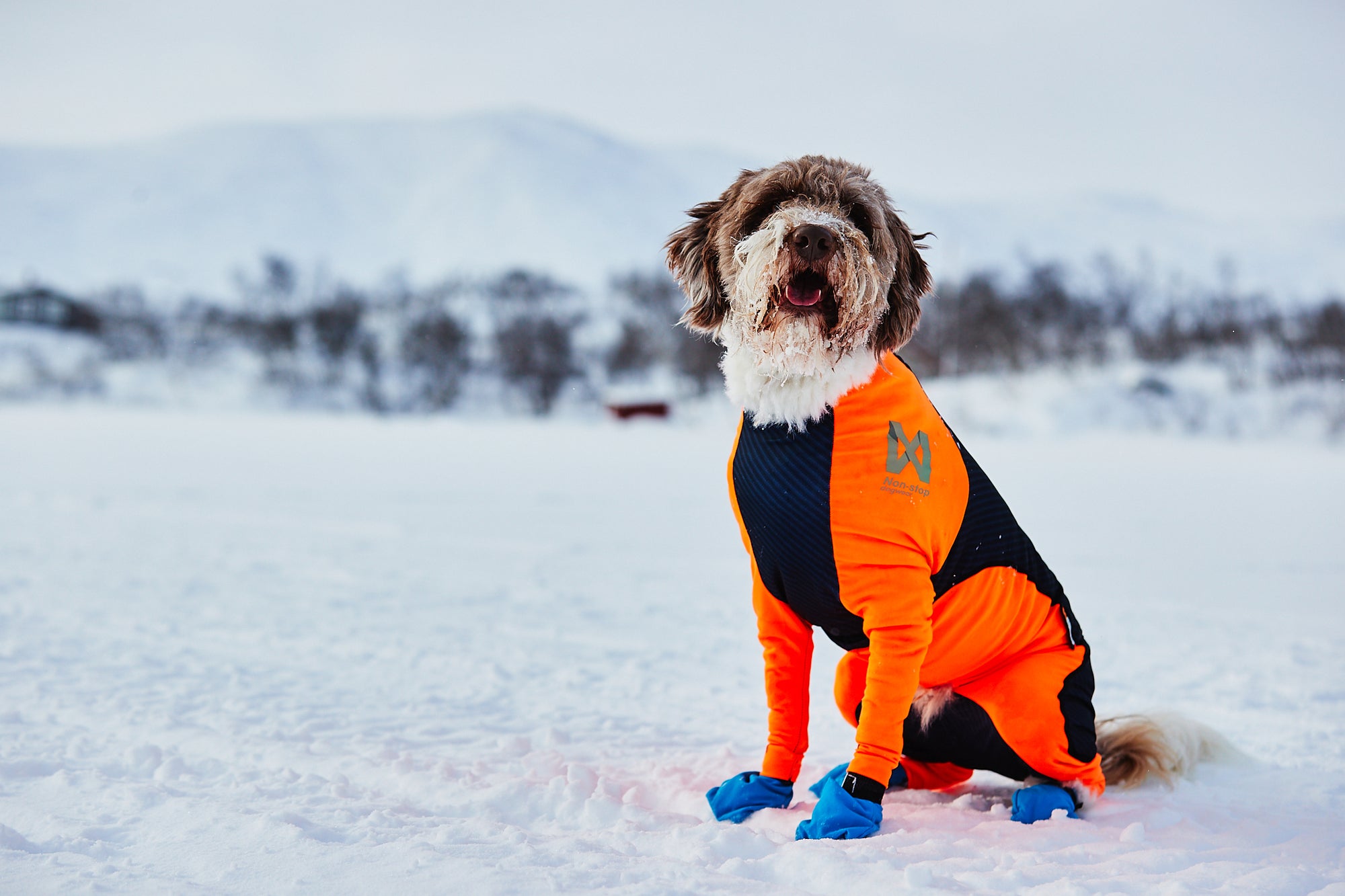 Non-Stop Dogwear Protector Snow | Canada - See SAWYER Run