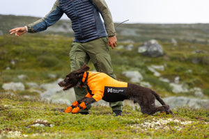 Non-Stop Dogwear Protector Half Suit