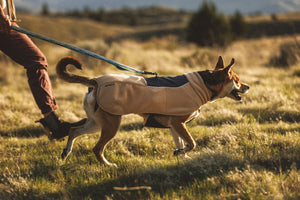 Ruffwear Timberline Fuse™ Fleece Vest