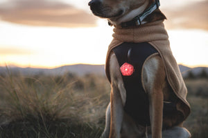 Ruffwear Timberline Fuse™ Fleece Vest