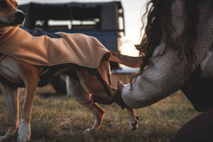Ruffwear Timberline Fuse™ Fleece Vest