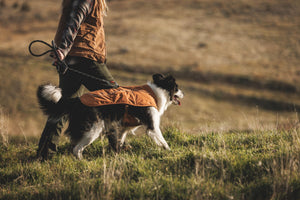 Ruffwear Overcoat Fuse™ Insulated Vest