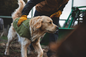 Ruffwear Overcoat Fuse™ Insulated Vest