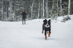 Ruffwear Powder Hound™ Coverall