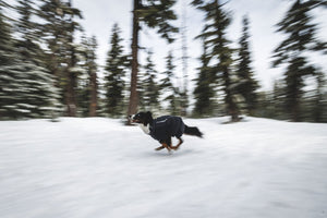 Ruffwear Powder Hound™ Coverall