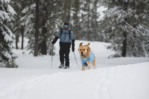 Ruffwear Powder Hound™ Waterproof Insulated Jacket