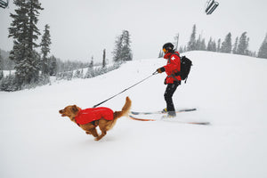 Ruffwear Powder Hound™ Waterproof Insulated Vest