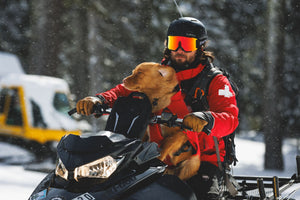 Ruffwear Powder Hound™ Waterproof Insulated Vest