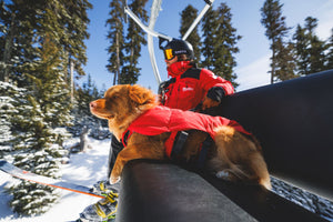 Ruffwear Powder Hound™ Waterproof Insulated Vest