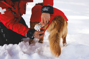 Ruffwear Powder Hound™ Waterproof Insulated Vest