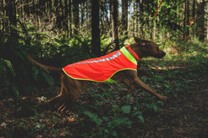 Ruffwear Lumenglow™ High-Vis Vest