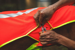 Ruffwear Lumenglow™ High-Vis Vest