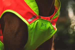 Ruffwear Lumenglow™ High-Vis Vest