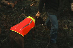 Ruffwear Lumenglow™ High-Vis Vest