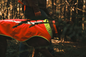 Ruffwear Lumenglow™ High-Vis Vest