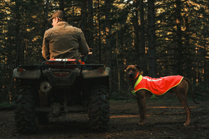Ruffwear Lumenglow™ High-Vis Vest