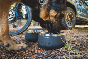 Ruffwear Basecamp Bowl